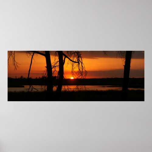 Sunset through the trees poster