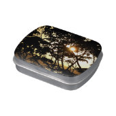 Sunset Through Trees I Tropical Photography Candy Tin (Side)