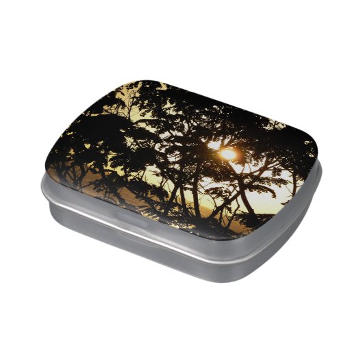 Sunset Through Trees I Tropical Photography Candy Tin (Side)