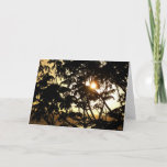 Sunset Through Trees I Tropical Photography Card