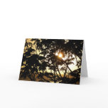 Sunset Through Trees I Tropical Photography Card