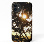 Sunset Through Trees I Tropical Photography iPhone 11 Case
