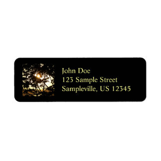 Sunset Through Trees I Tropical Photography Label