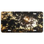 Sunset Through Trees I Tropical Photography License Plate