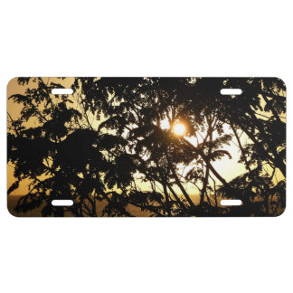 Sunset Through Trees I Tropical Photography License Plate