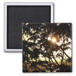 Sunset Through Trees I Tropical Photography Magnet