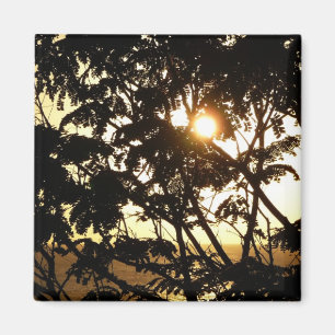 Sunset Through Trees I Tropical Photography Magnet