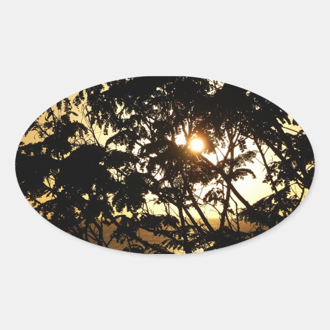 Sunset Through Trees I Tropical Photography Oval Sticker (Front)