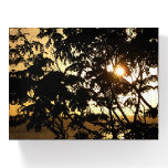 Sunset Through Trees I Tropical Photography Paperweight