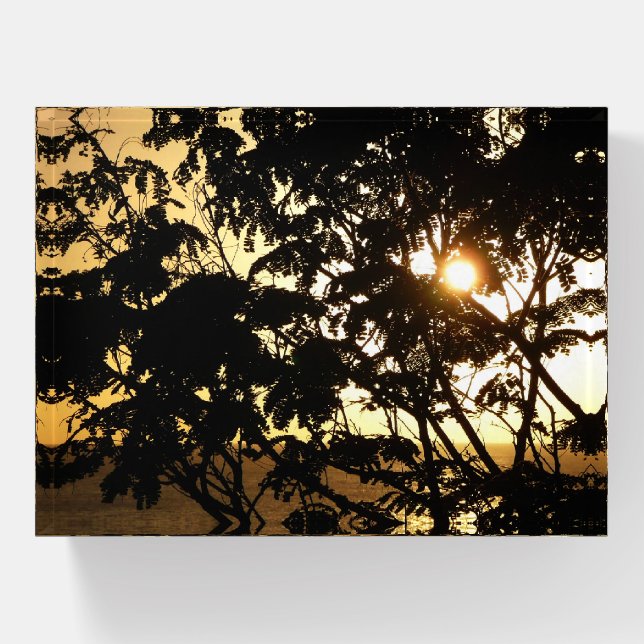 Sunset Through Trees I Tropical Photography Paperweight (Front)
