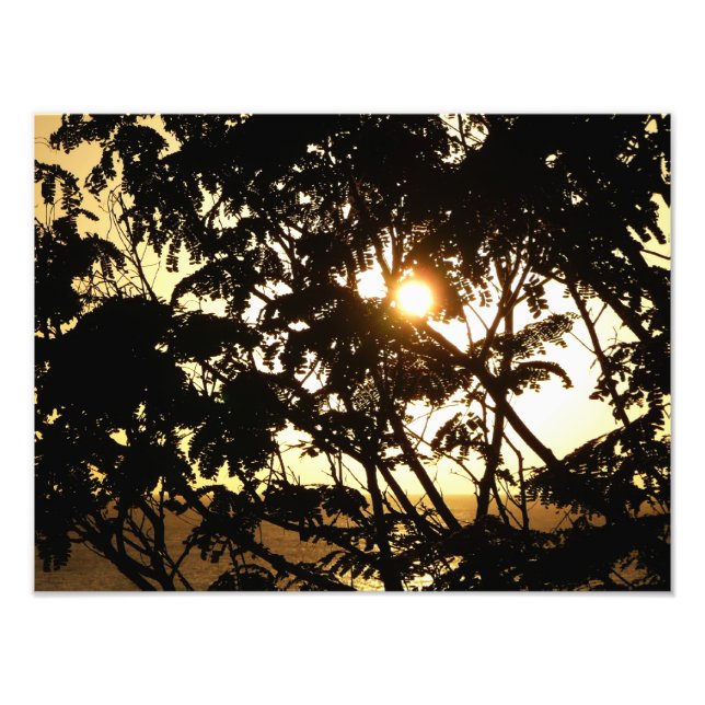 Sunset Through Trees I Tropical Photography Photo Print (Front)