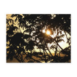 Sunset Through Trees I Tropical Photography Postcard