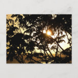 Sunset Through Trees I Tropical Photography Postcard
