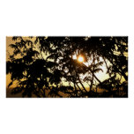 Sunset Through Trees I Tropical Photography Poster