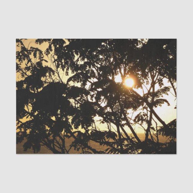 Sunset Through Trees I Tropical Photography Tissue Paper (Front)