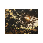 Sunset Through Trees I Tropical Photography Wood Poster