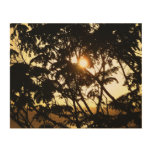 Sunset Through Trees I Tropical Photography Wood Wall Decor