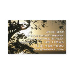Sunset Through Trees II Tropical Photography Business Card