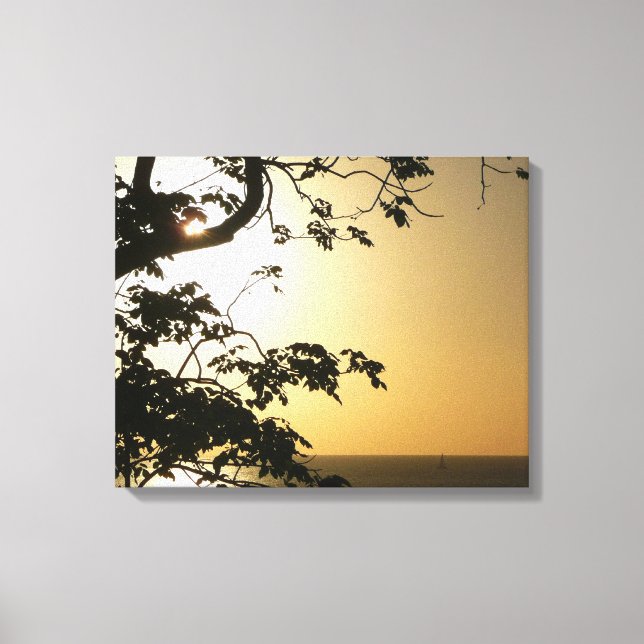 Sunset Through Trees II Tropical Photography Canvas Print (Front)