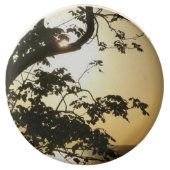Sunset Through Trees II Tropical Photography Chocolate Covered Oreo (Front)