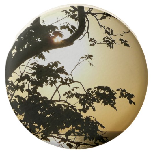 Sunset Through Trees II Tropical Photography Chocolate Covered Oreo (Front)