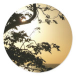 Sunset Through Trees II Tropical Photography Classic Round Sticker