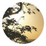 Sunset Through Trees II Tropical Photography Classic Round Sticker
