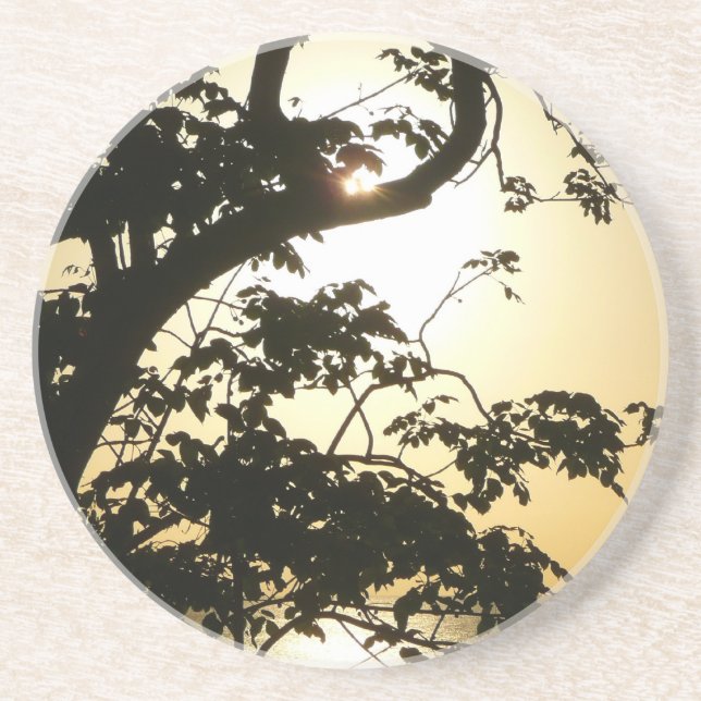 Sunset Through Trees II Tropical Photography Drink Coaster (Front)