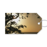 Sunset Through Trees II Tropical Photography Gift Tags