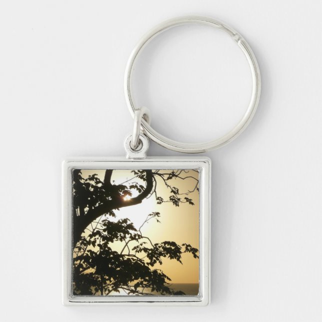 Sunset Through Trees II Tropical Photography Keychain (Front)