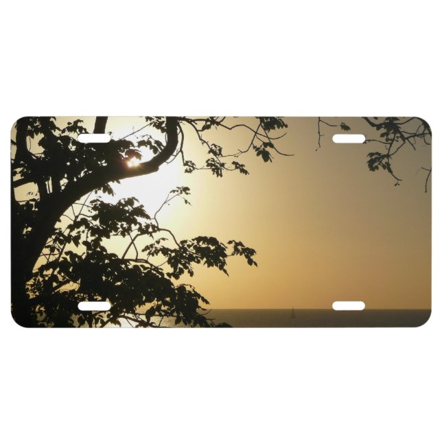 Sunset Through Trees II Tropical Photography License Plate (Front)