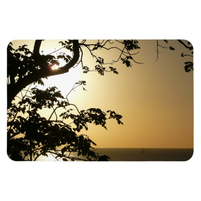 Sunset Through Trees II Tropical Photography Magnet (Horizontal)