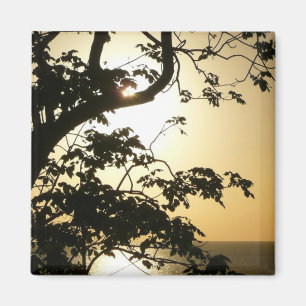 Sunset Through Trees II Tropical Photography Magnet