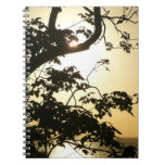 Sunset Through Trees II Tropical Photography Notebook
