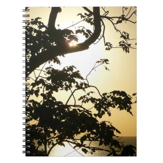 Sunset Through Trees II Tropical Photography Notebook (Front)