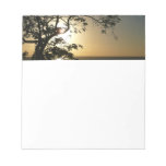Sunset Through Trees II Tropical Photography Notepad