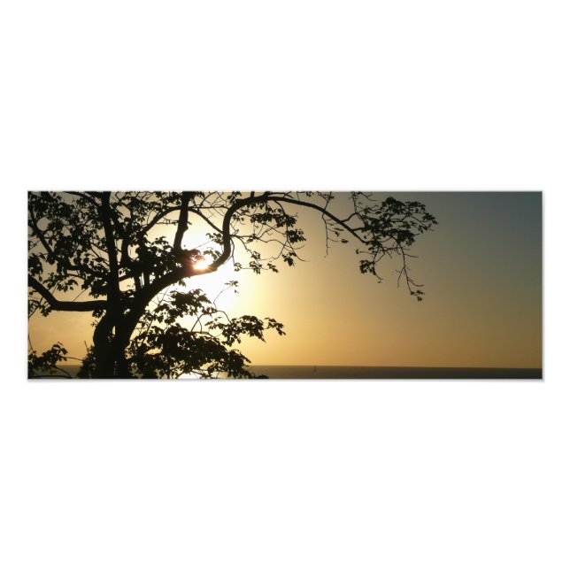 Sunset Through Trees II Tropical Photography Photo Print (Front)
