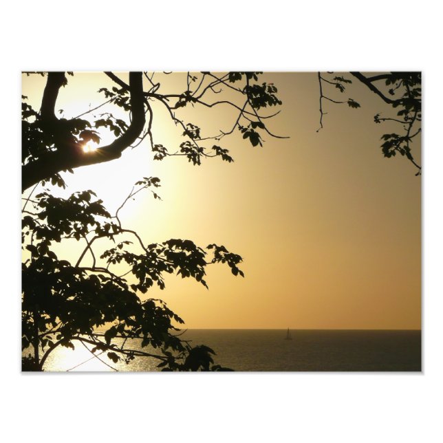 Sunset Through Trees II Tropical Photography Photo Print (Front)