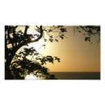 Sunset Through Trees II Tropical Photography Photo Print