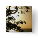 Sunset Through Trees II Tropical Photography Pinback Button