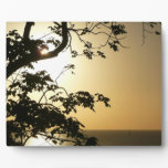 Sunset Through Trees II Tropical Photography Plaque