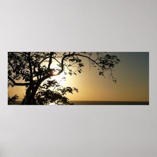 Sunset Through Trees II Tropical Photography Poster (Front)