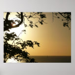 Sunset Through Trees II Tropical Photography Poster