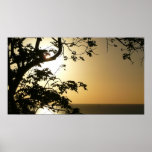 Sunset Through Trees II Tropical Photography Poster