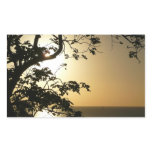 Sunset Through Trees II Tropical Photography Rectangular Sticker