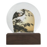 Sunset Through Trees II Tropical Photography Snow Globe