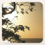 Sunset Through Trees II Tropical Photography Square Paper Coaster