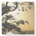 Sunset Through Trees II Tropical Photography Stone Coaster