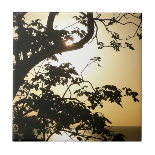 Sunset Through Trees II Tropical Photography Tile (Front)