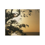 Sunset Through Trees II Tropical Photography Wood Poster
